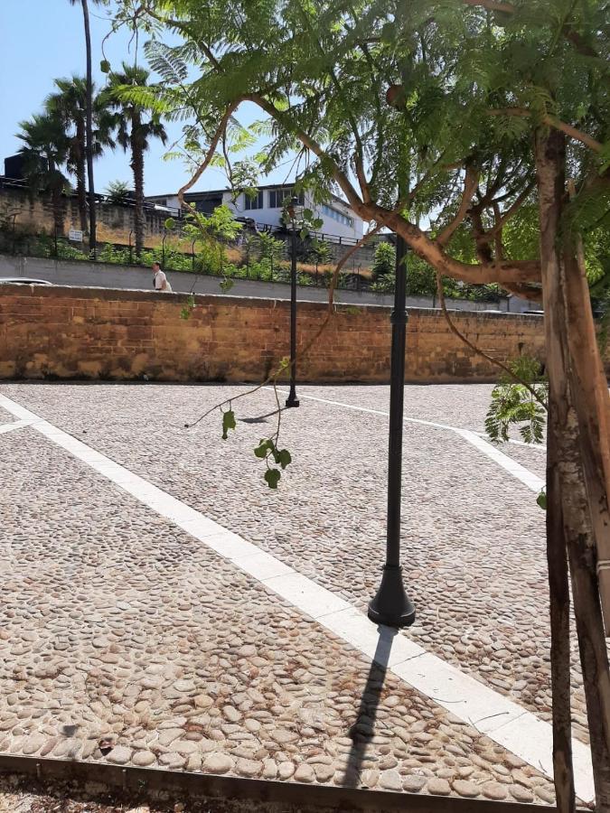 A Due Passi Dalla Cattedrale Apartment Palermo Exterior photo